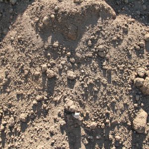 Unscreened Top Soil bulk